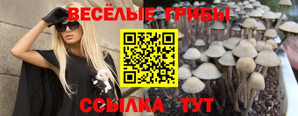 Галлюциногенные грибы GOLDEN TEACHER Тайшет